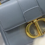 Christian Dior Micro 30 Montaigne Bag